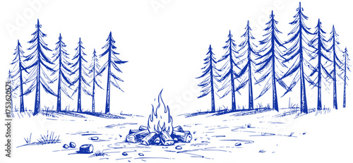 Forest Campfire: A Tranquil Outdoor Scene