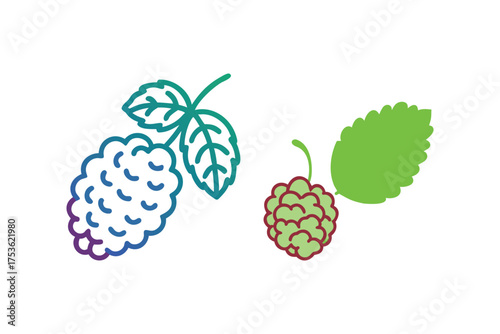 Illustration of fresh blueberries and raspberries with vibrant green leaves
