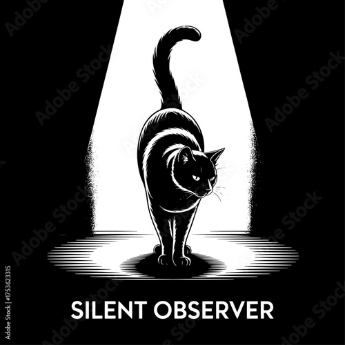 Mysterious black cat stands in spotlight silhouette with text silent observer