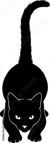 Playful black cat silhouette prowling with bright eyes ready to pounce