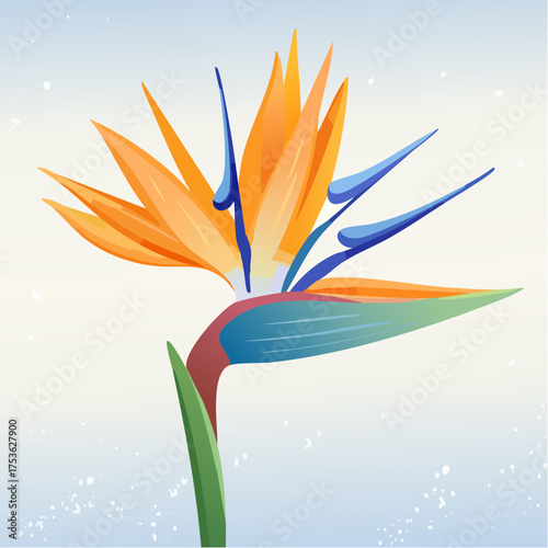 Strelitzie – Paradiesvogelblume mit tropischer Energie