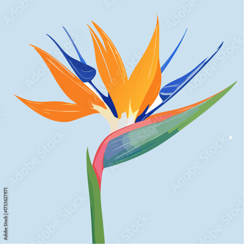 Strelitzie – Paradiesvogelblume mit tropischer Energie