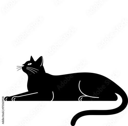 Sleek black cat lying down gracefully with a curled tail elegant feline pose