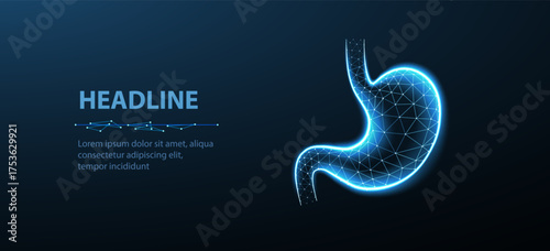Futuristic 3D wireframe representation of a stomach with glowing blue lines, symbolizing healthcare, digestive system, and advanced medical technology in a dark blue background.