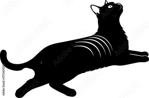 Silhouetted black cat with white stripes poised elegantly on a looking upwards