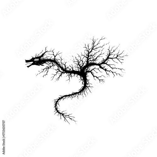 Silhouette of a dragon formed from bare tree branches against a white background creating a fantasy image