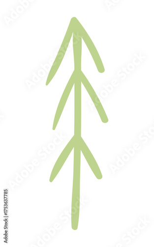 Fir, pine, spruce, conifer tree simple doodle isolated on transparent. Hand drawn flat vector illustration. Traditional holiday, Xmas, New Year, seasonal design element, clip art