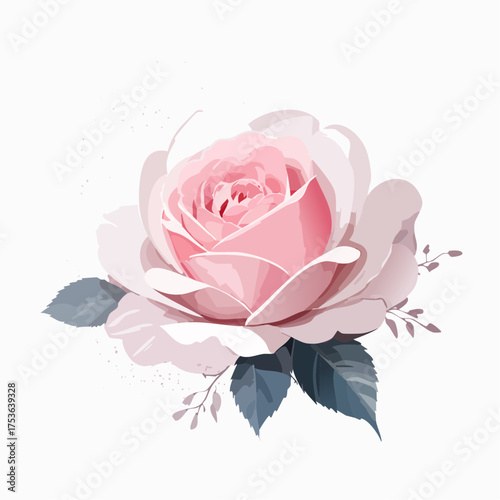 Englische Rose in Altrosa – Vintage-Charme