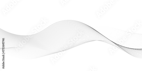 Abstract wavy white and grey curved lines on transparent background. Frequency sound wave lines and technology background, Design for brochure, flyer, banner, template, business wave lines background.