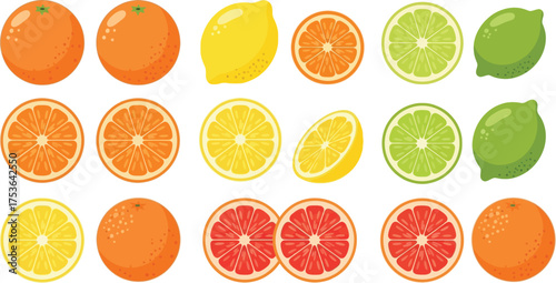 Vector art of collection of citrus fruits, whole and sliced, on a light blue background