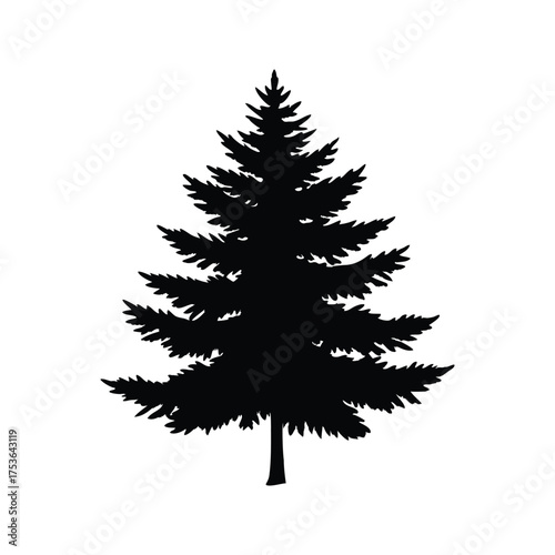 Black silhouette of a pine tree with a trunk on a white background, spruce pine tree silhouette vector illustration