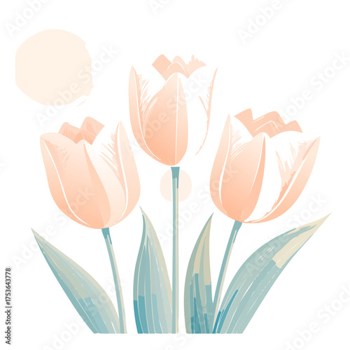 Tulpen in Creme und Rosé – klassisch und stilvoll