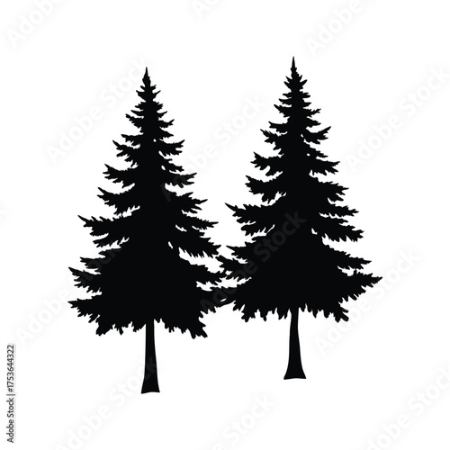 Silhouette of Two Evergreen Trees on White Background for Design Concepts, two pine tree silhouette vector illustration