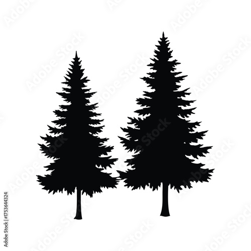 Two black evergreen trees standing tall against a white background design, two pine tree silhouette vector illustration