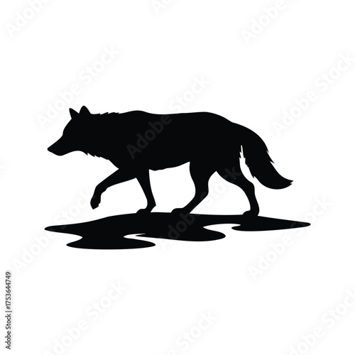 Silhouette of a wolf walking over a muddy puddle in the forest, wolf crossing stream silhouette vector illustration