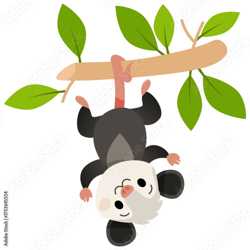 A cute cartoon possum hangs upside down by its tail
