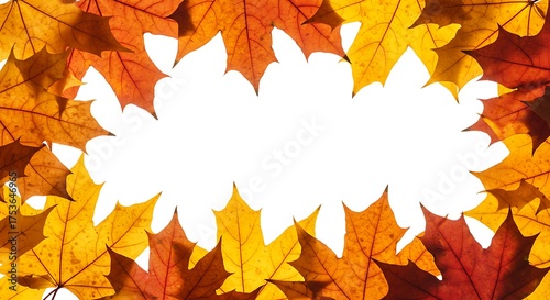 Autumn maple leaf frame on white background