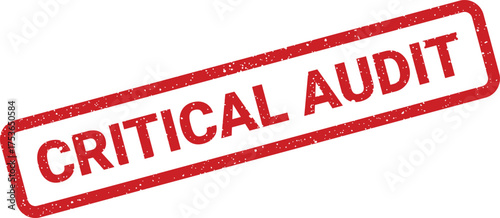 Grunged rectangular rubber stamp indicating a crucial audit process or detailed financial examination