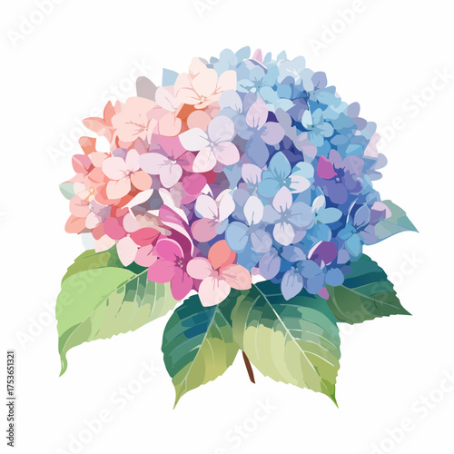 Hortensienblüte in Pastell – voller Leichtigkeit