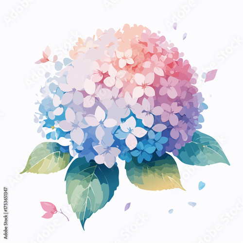 Hortensienblüte in Pastell – voller Leichtigkeit