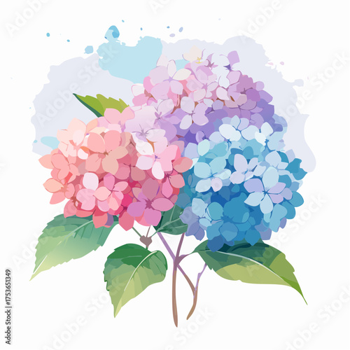 Hortensienblüte in Pastell – voller Leichtigkeit
