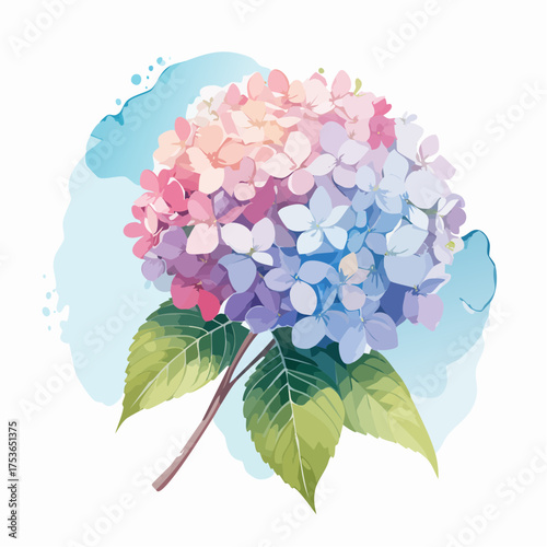 Hortensienblüte in Pastell – voller Leichtigkeit