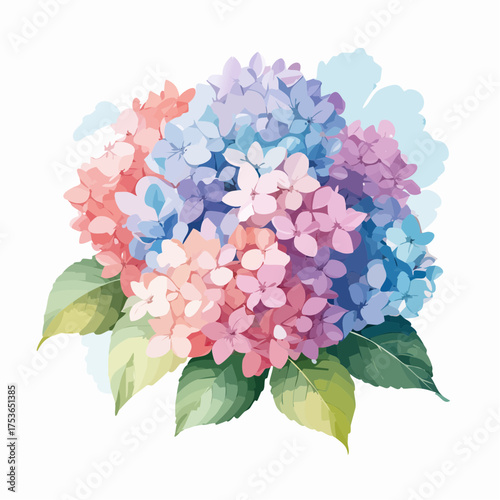Hortensienblüte in Pastell – voller Leichtigkeit
