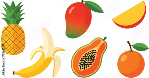 Vector art of collection of tropical and common fruits