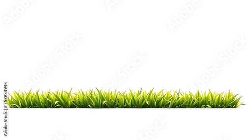 Vibrant green grass growing in a neat row against a clean white background