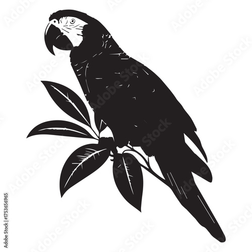 Elegant silhouette of a macaw parrot perched on a branch with lush green leaves against a white background