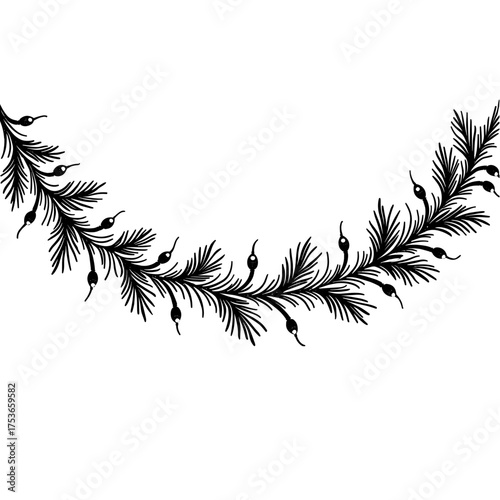 Black and white monochrome vector pine branch garland in vintage engraving style. Christmas botanical element - festive nature decor - traditional winter holiday symbol