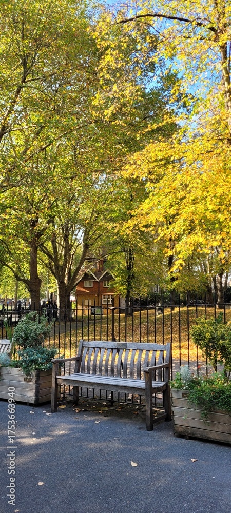 Obraz premium bench in the park