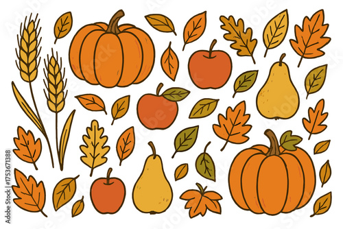 Autumn Harvest Doodle. Harvest doodle illustration with wheat stalks, pumpkins, apples, pears and autumn leaves isolated