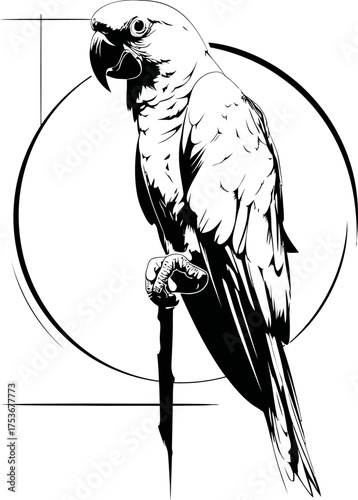Striking Black and White Parrot Vector Illustration for Tropical Design