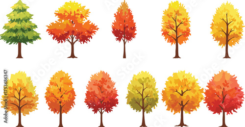 Seasonal tree illustrations, autumn foliage icons, top view deciduous trees, botanical graphics, landscape design elements, vector nature symbols, color variants