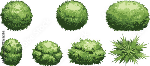 Bush illustrations, top view shrubs, green foliage icons, garden plant graphics, landscape design elements, botanical textures, vector nature symbols