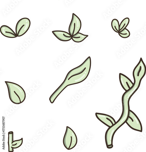 Hojas plantas