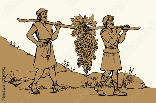 Vector drawing. Two men bear a grape.