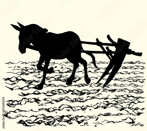 Vector drawing. Cute old mule