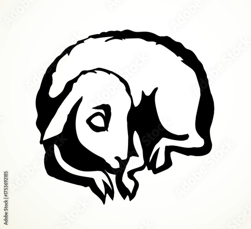Vector drawing. Small sheep lay to sleap