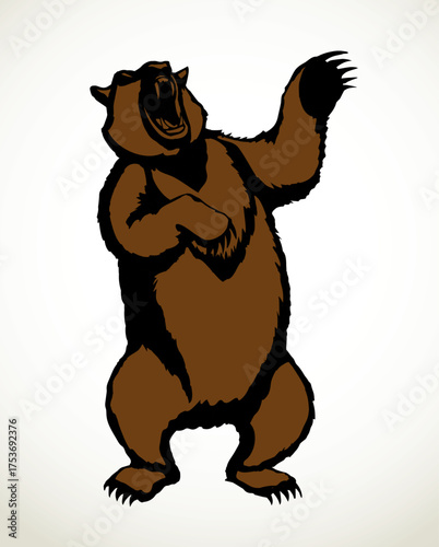 Vector drawing. An angry bear stands and growls