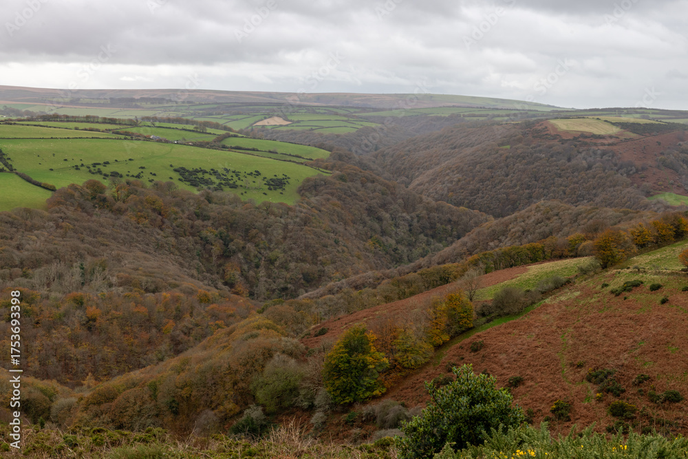 Naklejka premium View from the top of Countisbury Hill of the autumn colours at Watersmeet Valley in Exmoor National Park