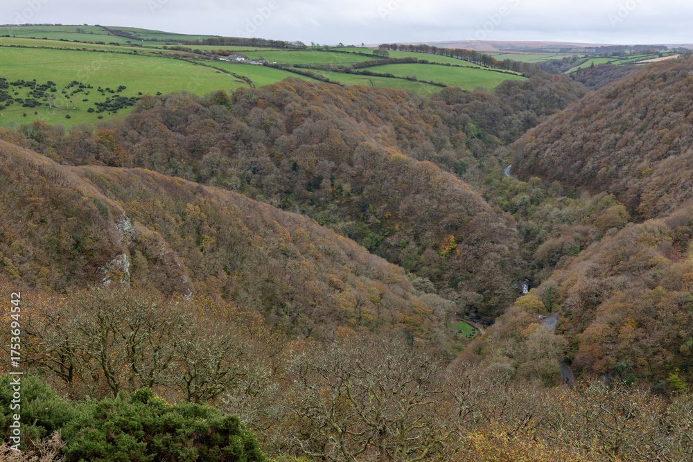 Obraz premium View from the top of Countisbury Hill of the autumn colours at Watersmeet Valley in Exmoor National Park