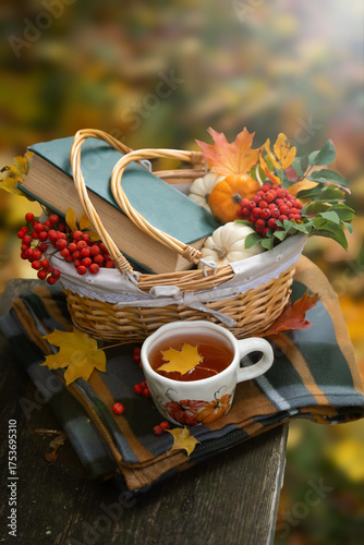 Autumn still life with rowan berries and pumpkins. October.