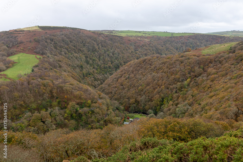 Fototapeta premium View from the top of Countisbury Hill of the autumn colours at Watersmeet Valley in Exmoor National Park