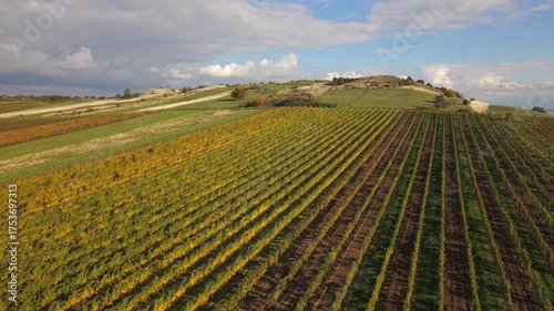 Weingarten im Burgenland, Österreich, im goldenen Herbst aus der Luft gefilmt (diagonal nach links)