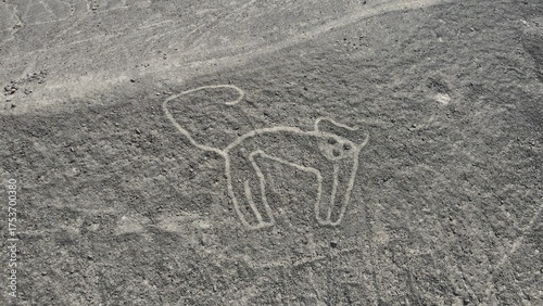Lines and Geoglyphs of Nazca and Palpa