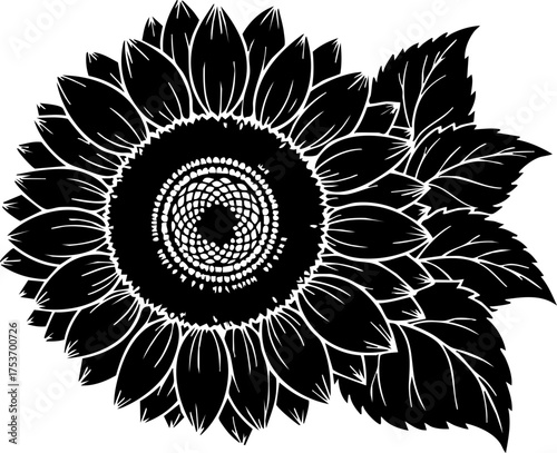 Stunning sunflower illustration with intricate details, perfect for summer designs, rustic themes, or natural beauty projects, originally a scalable vector graphic