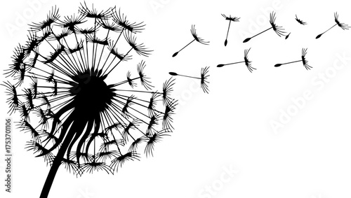 Delicate dandelion dispersing seeds in the wind, a symbol of nature's resilience and the beauty of fleeting moments, perfect for spring designs