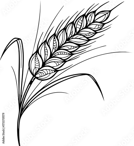 Elegant wheat stalk graphic, perfect for organic food packaging and rustic designs. A vintage harvest illustration with detailed line work and timeless appeal